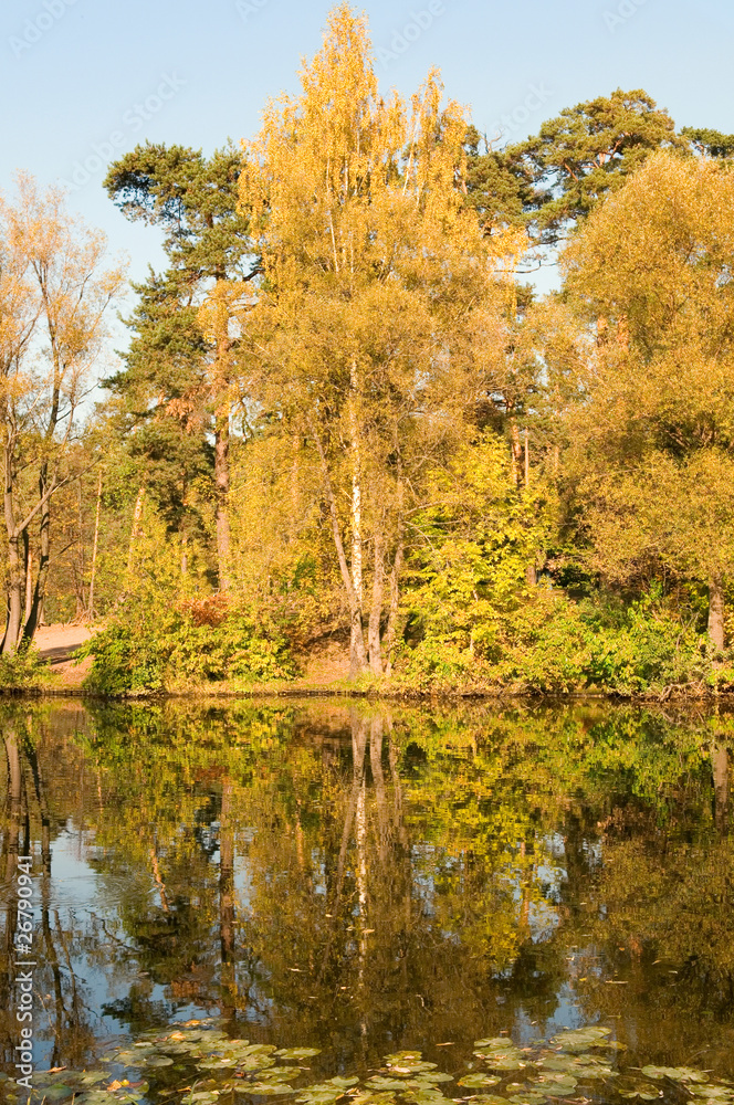 Autumn colors