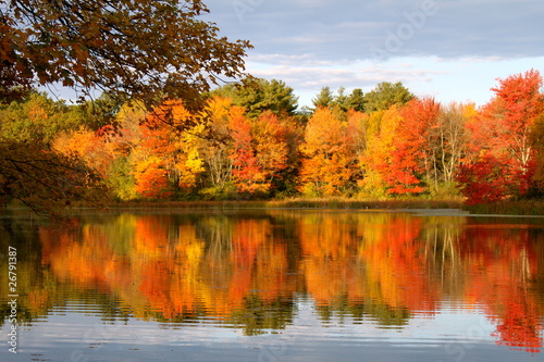 Autumn Reflection Iv