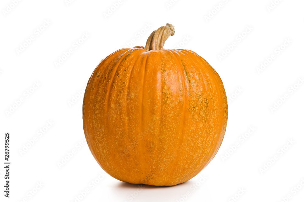 Obraz premium Pumpkin