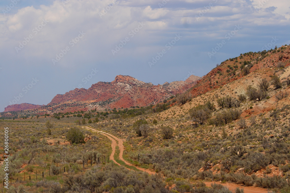 Desert Dirt Road