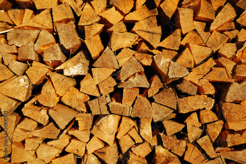 Fur-tree fire wood in a woodpile