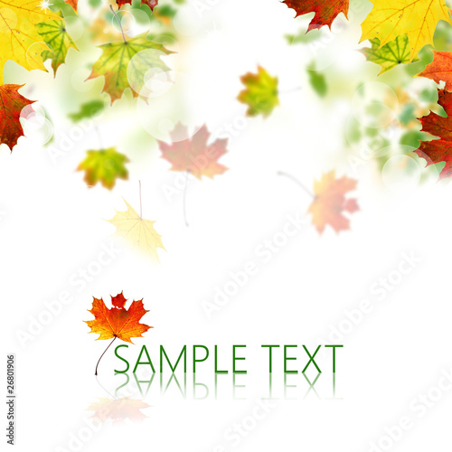 Autumn leaves