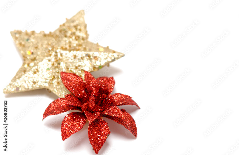 christmas flor de pascua y estrella fondo blanco Stock Photo | Adobe Stock