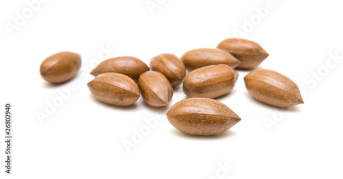 pecan nuts scattered; isolated; on white background;