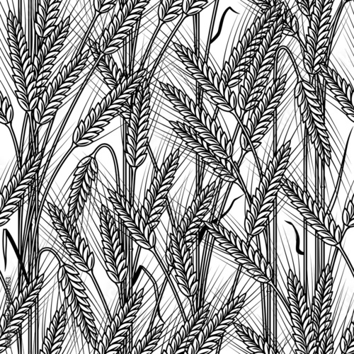 Seamless cereal ears background black and white