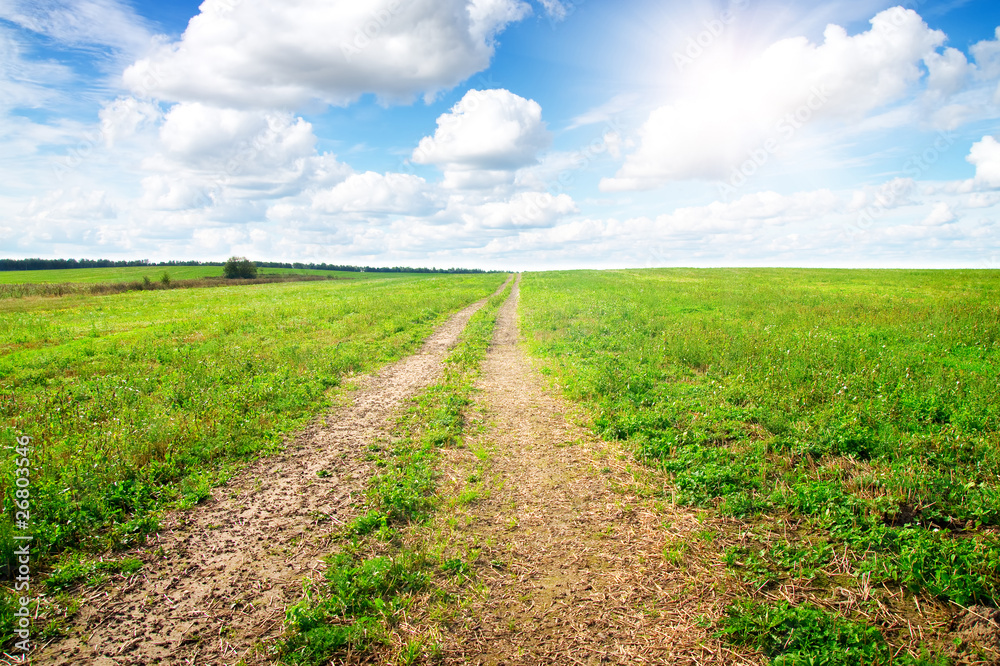 Green field under midday sun Green field under midday sun