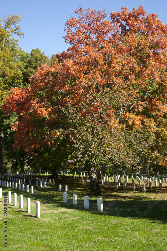 Naklejka premium Arlington National Cemetery