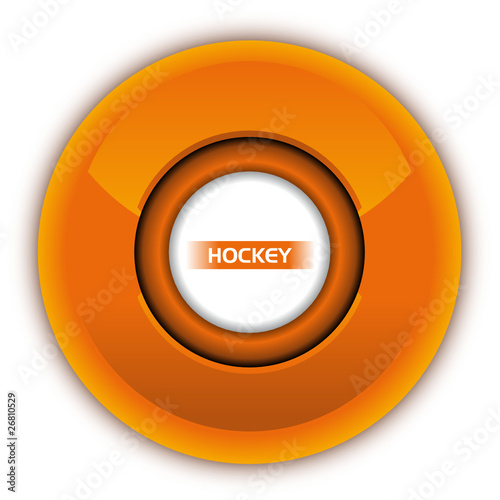 Puck de Hockey