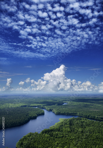 Aerial view the forest river