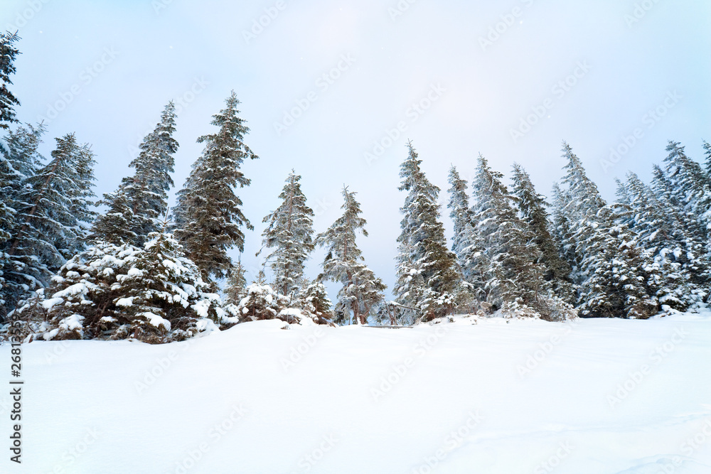winter mountain landscape winter mountain landscape
