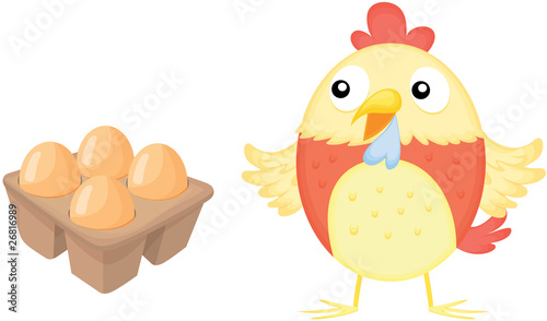 eggs and hen