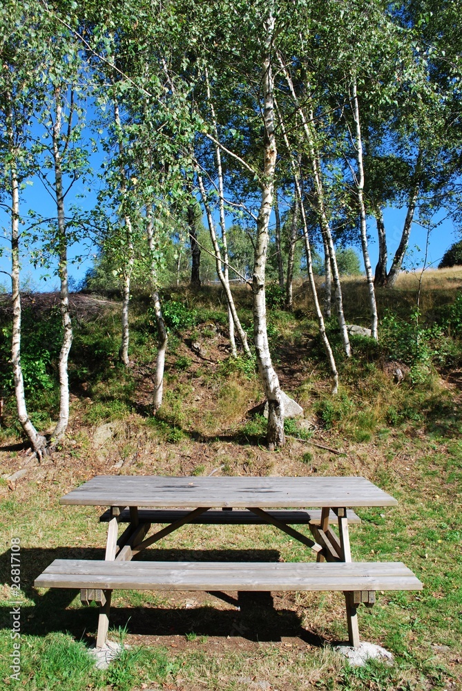 Naklejka premium Picnic area
