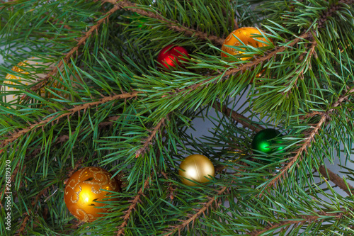 Christmas fir with decoration