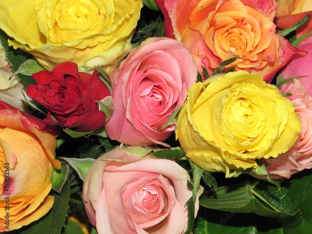 Ein Strauß mit bunten Rosen Ein Strauß mit bunten Rosen