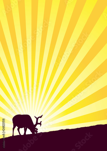 sunlight_reindeer_sunset_a4