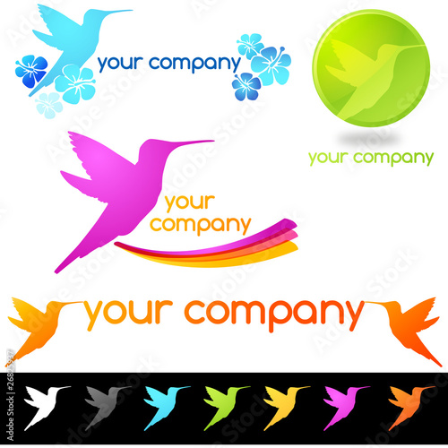 logo colibri