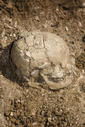 Burial grave archeology ancient skull