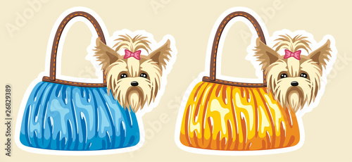 dogs in bags