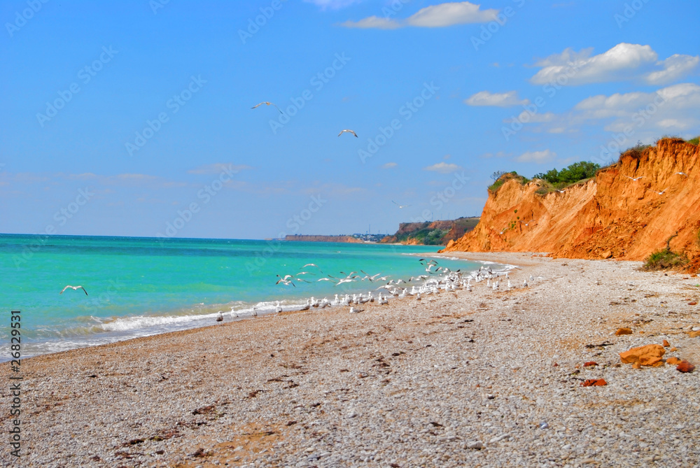 Crimea's coast (Sea and seagulls)