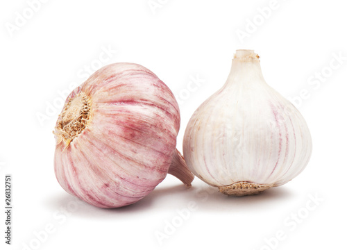 garlic  on a white background