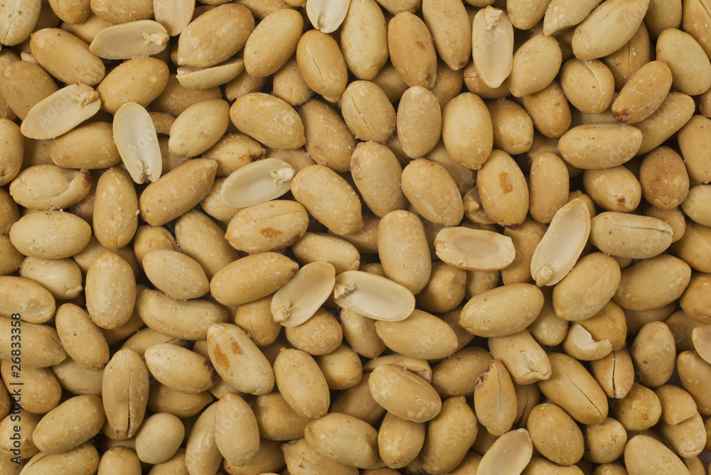 peanut-fıstık peanut-fıstık