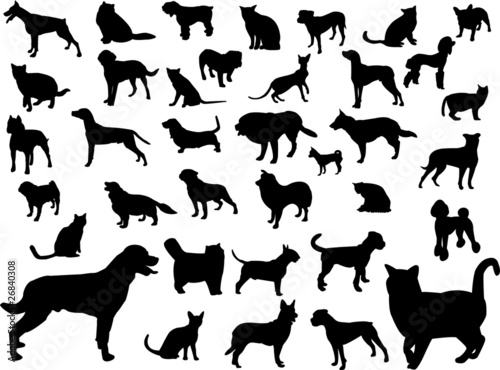dogs and cats silhouette collection - vector