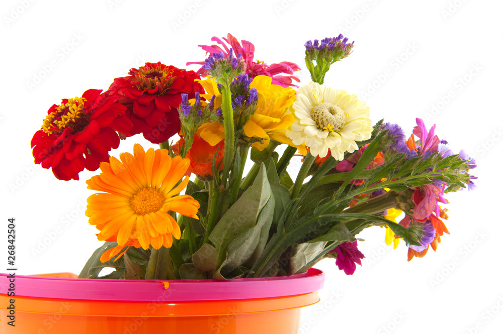 Colorful flower bouquet in bucket
