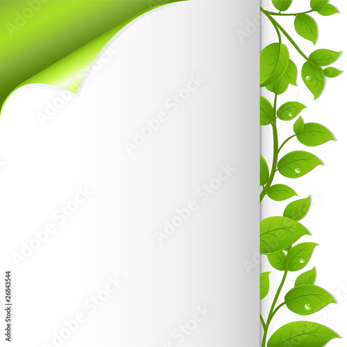 Green Leaves And Paper