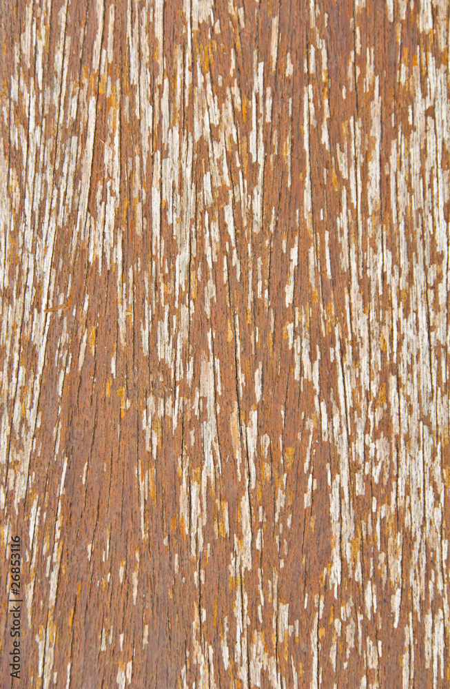 Fototapeta premium Hardwood background