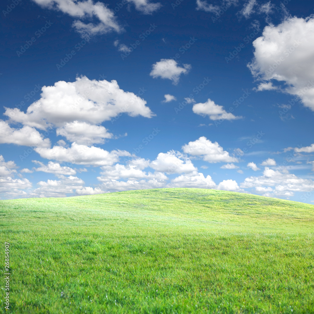 Green grass and blue sky with clouds