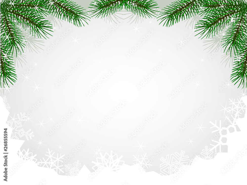 chistmas fir branches hoarfrost pattern chistmas fir branches hoarfrost pattern