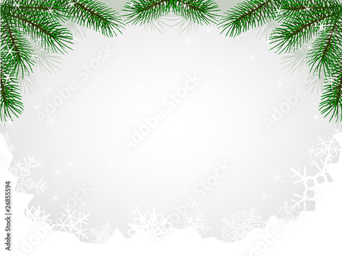 chistmas fir branches hoarfrost pattern