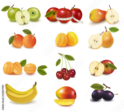 Group with different sorts of fruit. Vector.