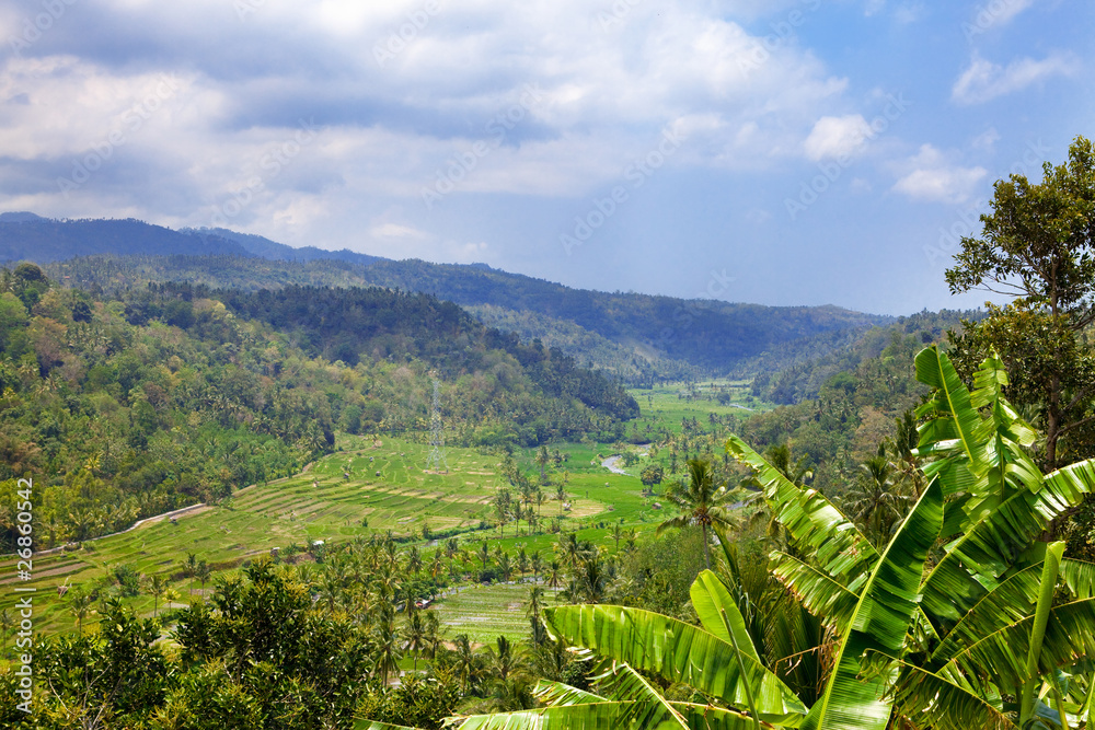 Tropical landscape. Indonesia. Bali.