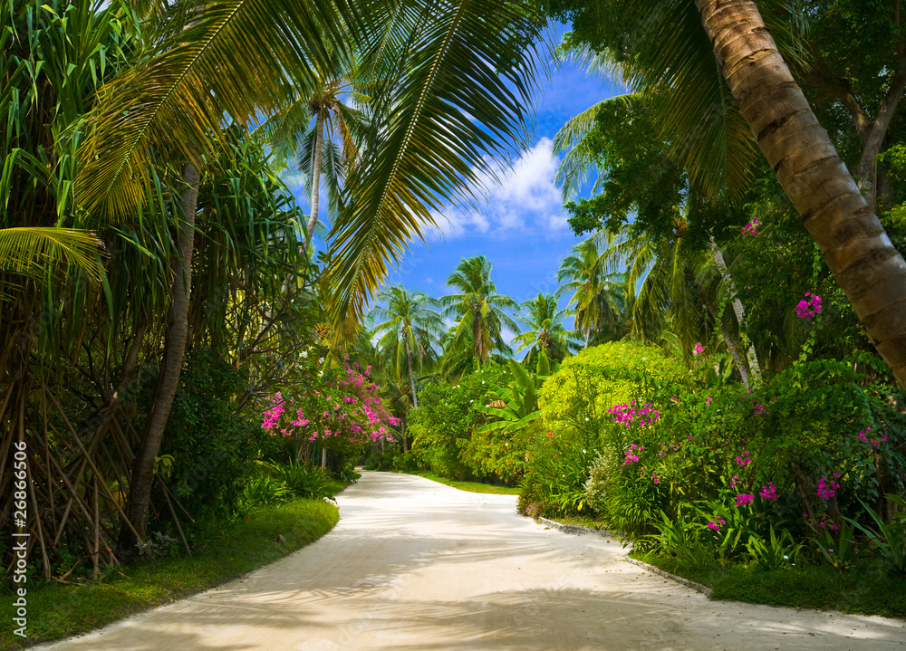 Pathway in tropical park Pathway in tropical park