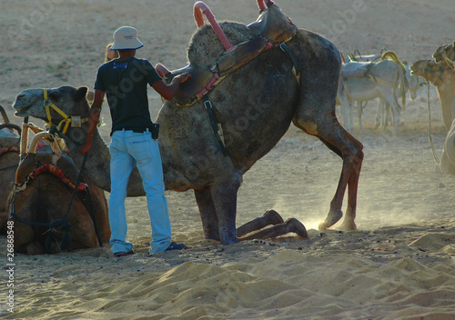 Man with camel in the desert Israel