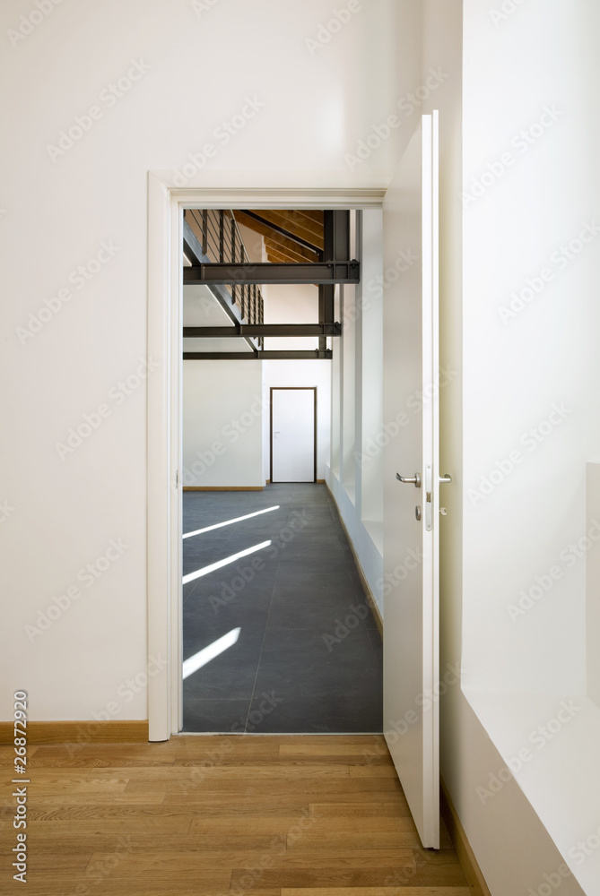 Fototapeta premium door of loft,