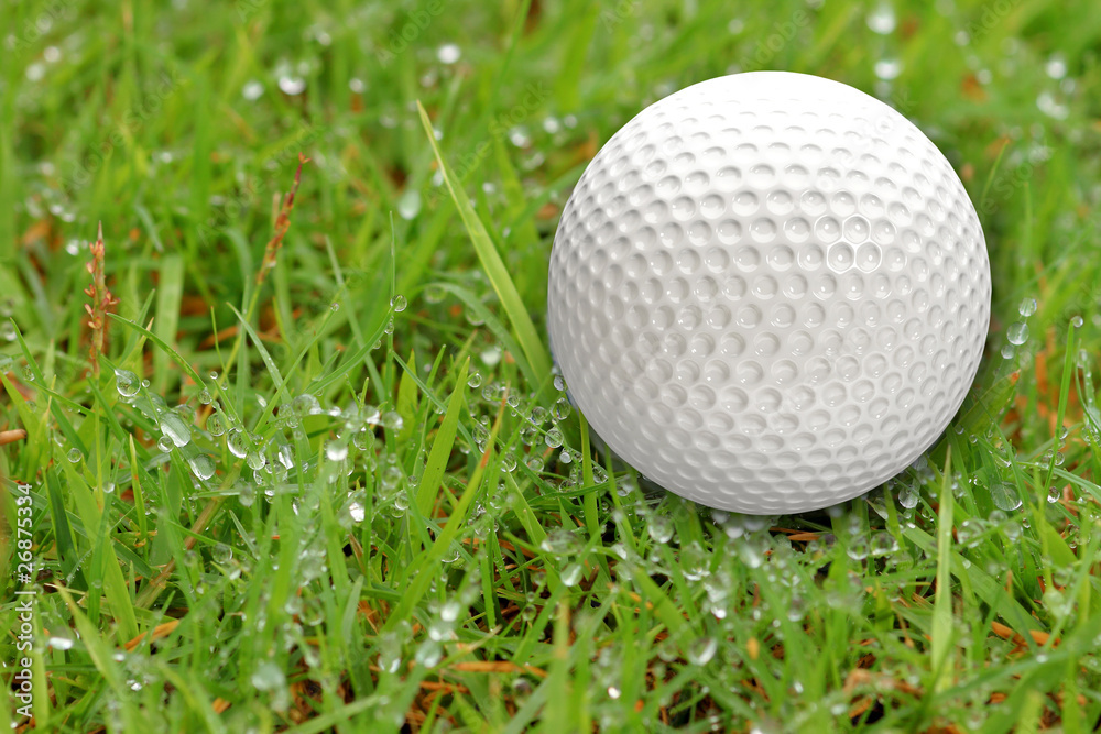 Golf balls on the grass background . Golf balls on the grass background .