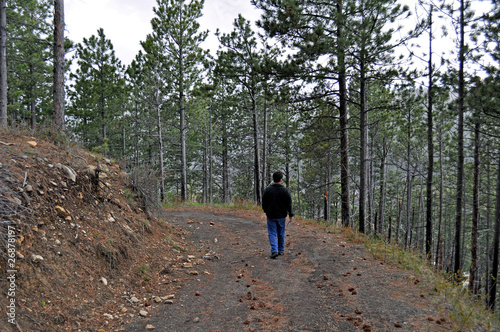 Man walking trail in the Black Hills © Refocus Photography