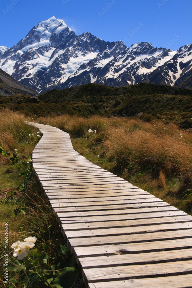 Path to Mt Cook