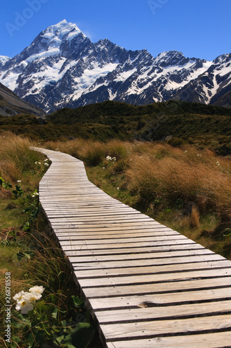 Path to Mt Cook