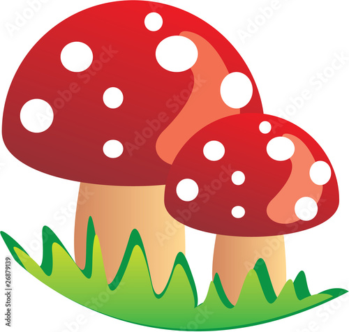 Mushroom