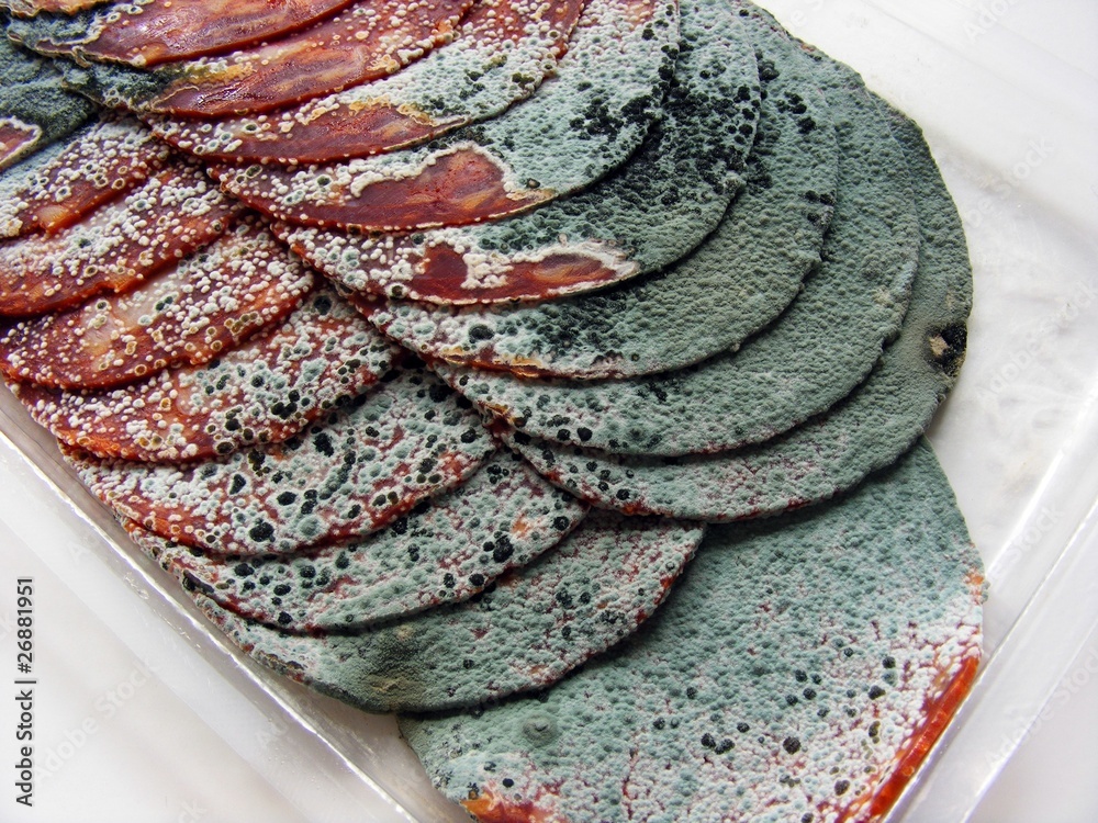 Packet of rotten sliced salami meat Stock Photo Adobe Stock