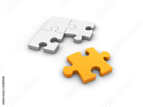 individuality puzzle