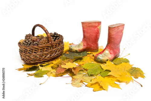 basket with pine cones and childrens red rubber boots on the fal