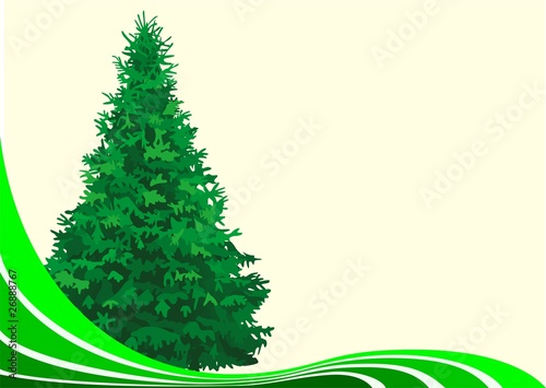 tree fir landscape