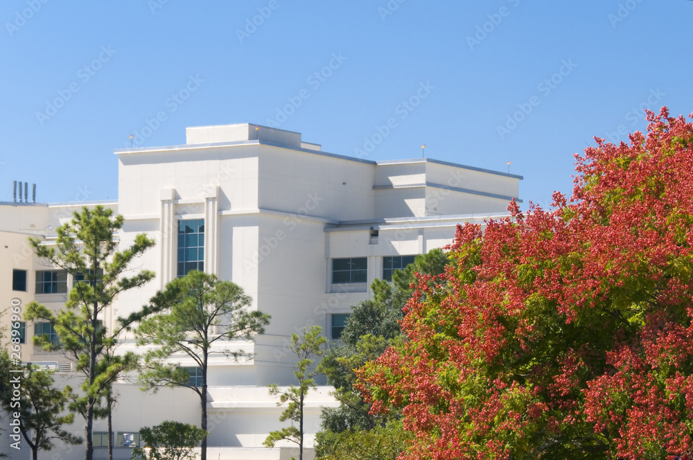 Hospital in the fall Hospital in the fall