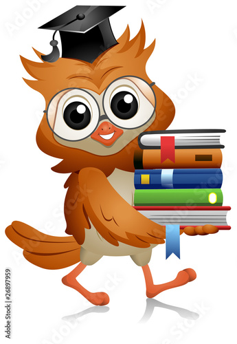 Owl Books