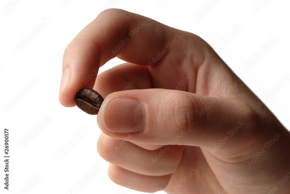 Coffee Bean keeps his fingers on a white background Coffee Bean keeps his fingers on a white background
