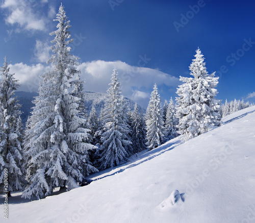 Winter landscape in mountains